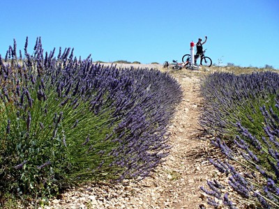 Provence na kole - romantická a přátelská